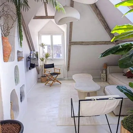 Jungle's Oasis En Plein Coeur De La * Tours