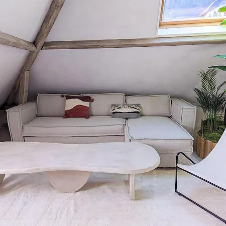 Jungle's Oasis En Plein Coeur De La Apartamento *