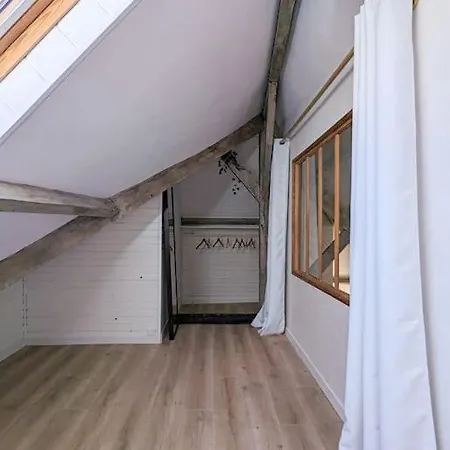 Apartamento Jungle's Oasis En Plein Coeur De La *