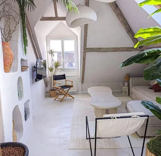 Jungle's Oasis En Plein Coeur De La * Tours