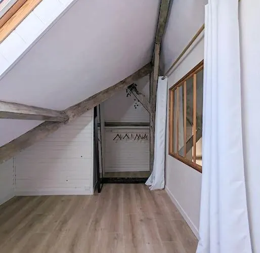 Appartement Jungle's Oasis En Plein Coeur De La *