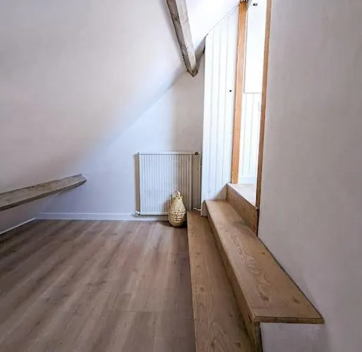 Appartement Jungle's Oasis En Plein Coeur De La Tours