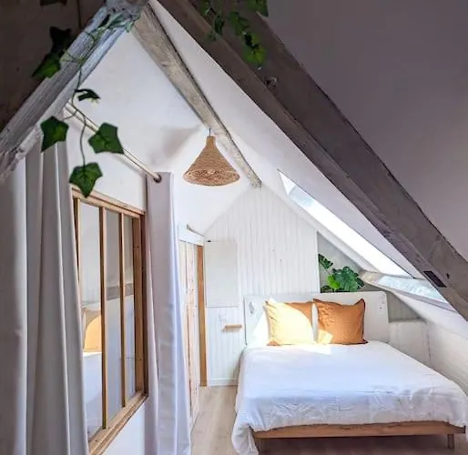 Appartement Jungle's Oasis En Plein Coeur De La