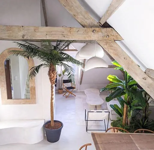 Jungle's Oasis En Plein Coeur De La Appartement